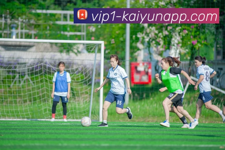 开云体育APP 封面图